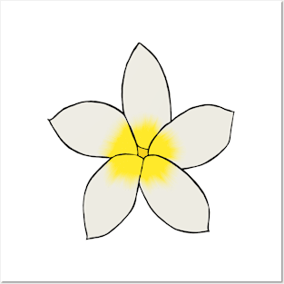 White and yellow flower Posters and Art